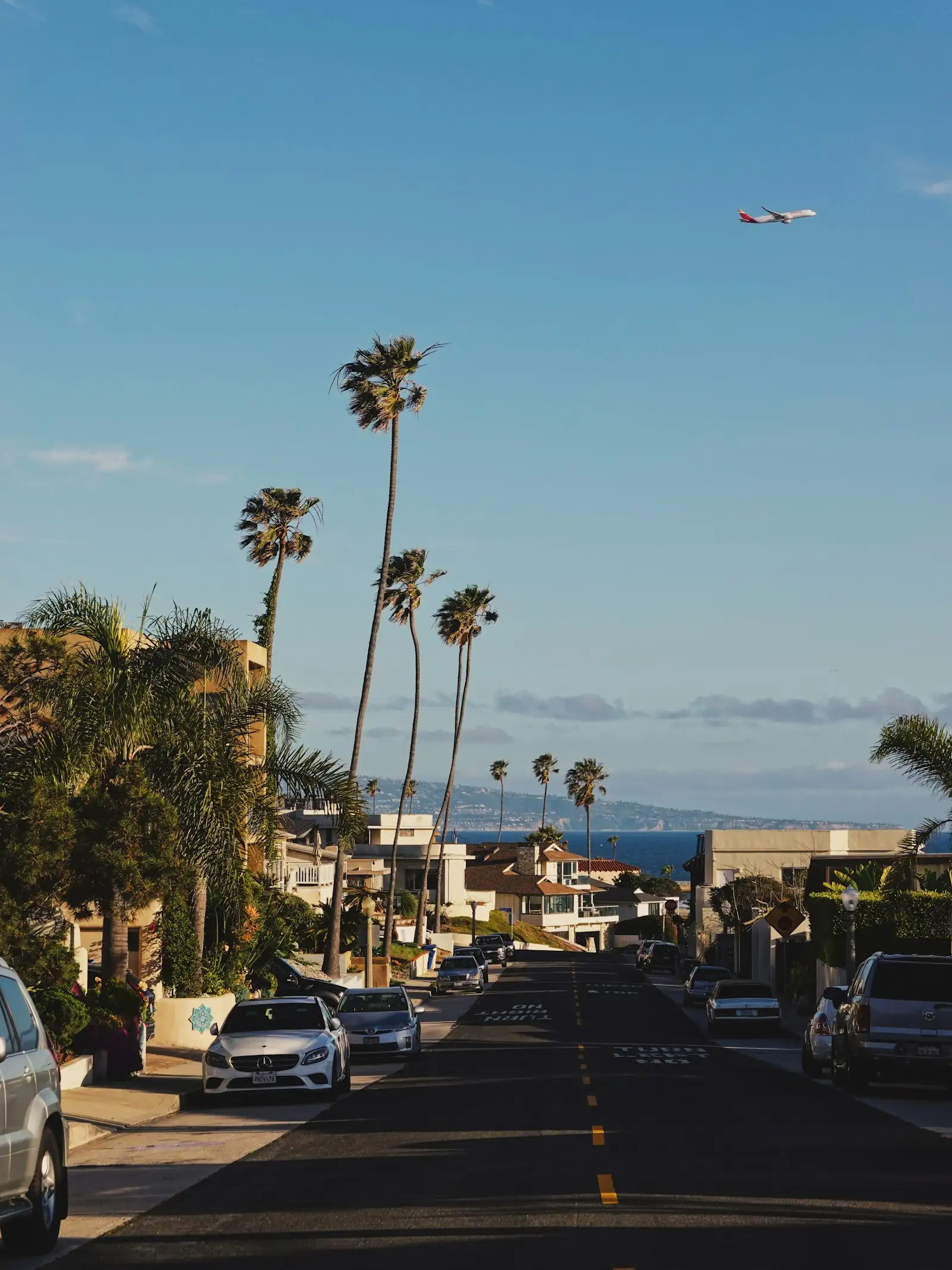 Palm Tree Trimming work for Ontario, CA homeowners