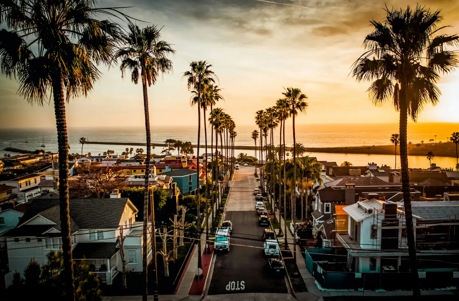 Palm trees lining a landscaped street in Eastvale, CA