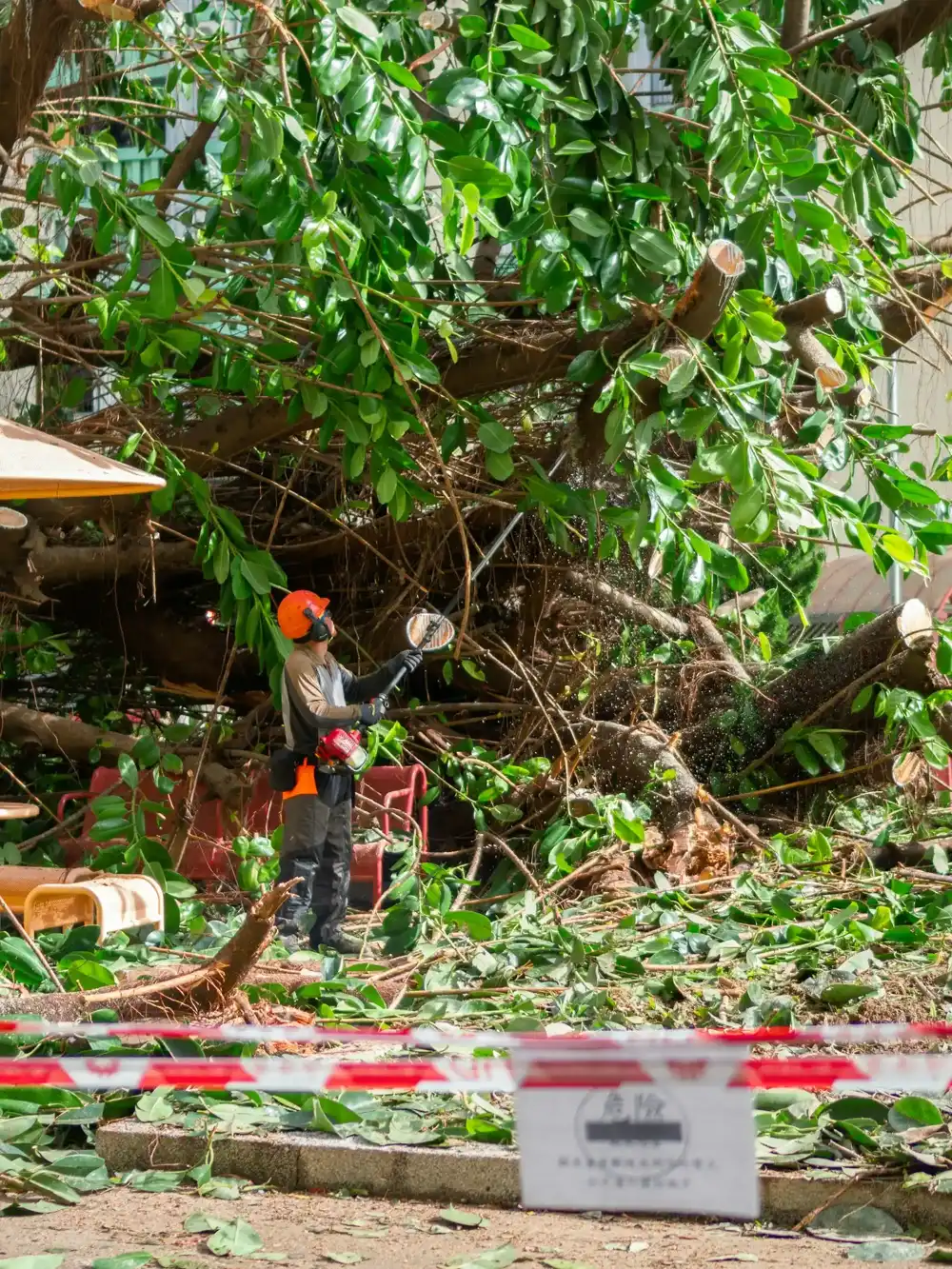 Emergency Tree Service work for Ontario, CA homeowners
